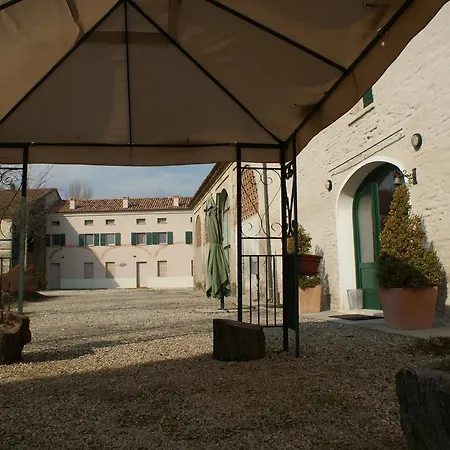 Albero Del Latte Bagnolo San Vito